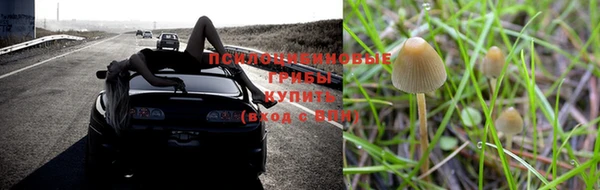 МДМА Медногорск