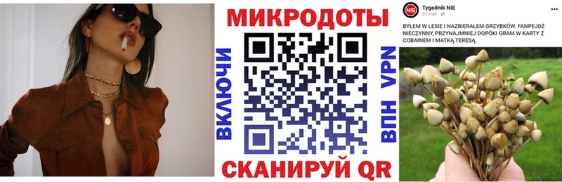 kraken ТОР  Рыбное  Галлюциногенные грибы ЛСД 